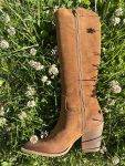 Texano alto in suede Divine Follie (1)
